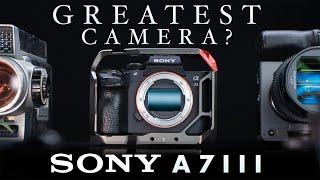 Sony A7iii Review in 2024 - 5 Year Review