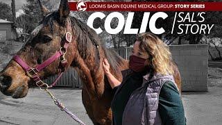 Equine Health Stories: Colic... Sal's Story