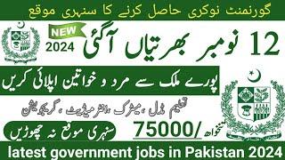 Latest government November jobs 2024 ۔ New jobs 2024 in pakistan۔Latest jobs in Pakistan 2024 today