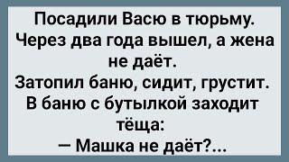 Как Вася из Тюрьмы Вышел! Сборник Свежих Анекдотов! Юмор!