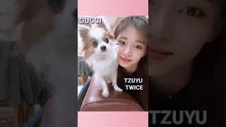 Kpop Idols and their Pets pt.1 | Kpop Cloud