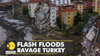 Flash floods ravage parts of Turkey, around 5 deaths reported | WION Climate Tracker