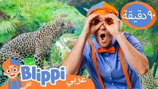 حديقة حيوانات وود لاند | برنامج بليبي التعليمي | Blippi Meets A Real TIGER! | Blippi - بليبي بالعربي