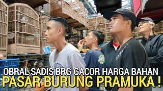 HARI INI ! KONDISI PASAR BURUNG PRAMUKA BURUNG GACOR HARGA BAHAN KIOS LANGGENG JAYA