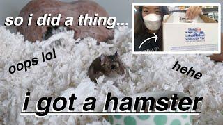 GETTING A HAMSTER