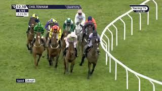 CHELTENHAM ALL HORSE RACING HIGHLIGHTS 28 JANUARY 2023