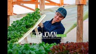 El proceso de un joven emprendedor