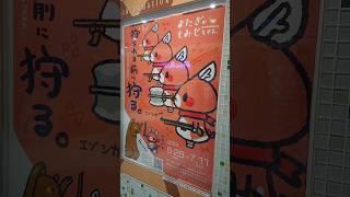 【旅日記】東京一番街:「またぎのもみじちゃん」POP UP SHOP #Shorts