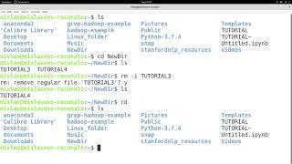 Linux Tutorial Series - 36 - The rm command