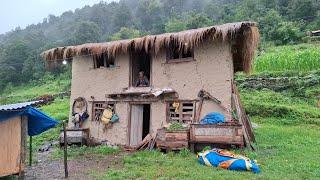 Most Peaceful Nepali Mountain Village During the Rainy Time | Organic Food cooking | Nepali villages