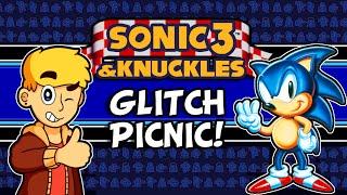 Sonic 3 & Knuckles Glitches | Sonic 3 & Knuckles Glitch Picnic | MikeyTaylorGaming