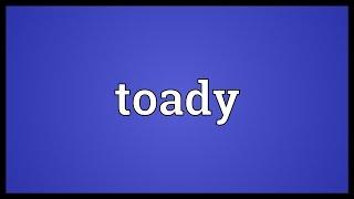 Toady Meaning