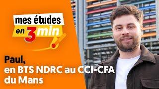 Paul en BTS NDRC au CCI-CFA du Mans - Mes études en 3 minutes