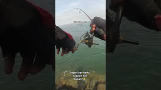 Ikannya jdi rakus gara-gara umpan ini turun #ultralightfishing #fishing