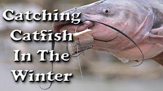 Catching Catfish in the Winter