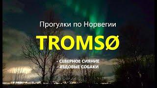 Прогулки по НОРВЕГИИ. ТРУМСЁ. Юрта, Северное Сияние и катание на ЕЗДОВЫХ СОБАКАХ