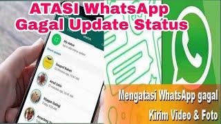 Cara Mengatasi WhatsApp Tidak Bisa Kirim dan Update Status Foto dan Video