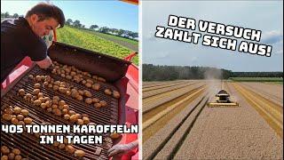 15 Lkw-Ladungen Kartoffeln verkauft | Bessere Qualitäten durch GRAINGUARD im Weizen | Farmvlog #137