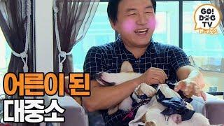 [고독TV] (아빠흐뭇*-*) 성장을 해서(?) 두 개로 가려야해~ | 개밥주는 남자