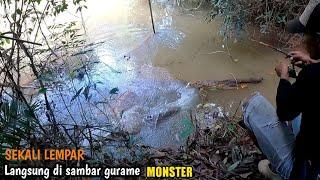 DAPAT GURAME BESAR DI SPOT TERSEMBUNYI || Ikan gurame nya masih sangat ganas bro...