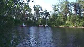 Карелия 2011 Онежское озеро Природа  Nature of Lake Onega. 自然の中、ロシア、北(Jp)