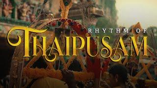 Rhythm of Thaipusam 2024 | Tineis | 4K Cinematic