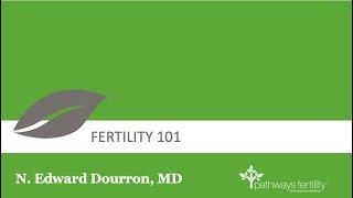 Fertility 101, How Mini-Stim IVF Works & Lower Cost IVF Options