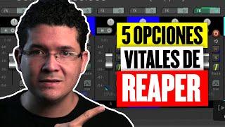 5 opciones de REAPER que tienes que ACTIVAR hoy o LAMENTARTE mañana!