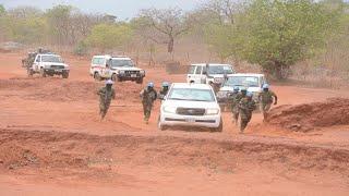 Zambia Army Soldiers Meeting the Rebels in Central African Republic