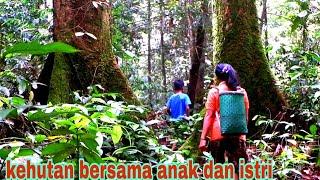 KE HUTAN BERSAMA ISTRI DAN ANAK , BERBURU IKAN