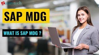 What is SAP Master  Data Governance (MDG) | ZaranTech