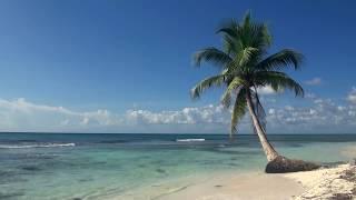 ЗВУКИ МОРЯ; 3 часа Видео Тропический пляж с голубым небом, белым песком и пальмой.