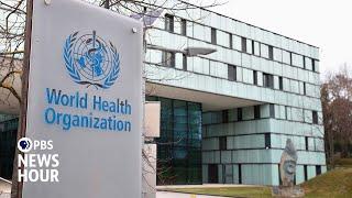 The potential impacts of Trump's decision to withdraw from the World Health Organization