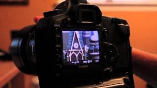 Manual Focus in LiveView - WDW Photography