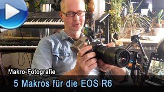 5 Makroobjektive an der Canon EOS R6 - Geschwindigkeit & Qualität