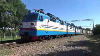 2024 July   7 Uzbekistan VL80  Freight train at near  Tashkent ウズベキスタン鉄道トロピカルVL80　3重連タシケント近郊