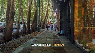 Inside TEHRAN; Walking on Valiasr Street / تهران، خیابان ولیعصر