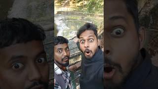 Sher Aaj Mujhe Kha Hi Leta   #vlog #minivlog