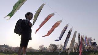 Children's Day Festival - Japan: Earth's Enchanted Islands: Web Exclusive - BBC