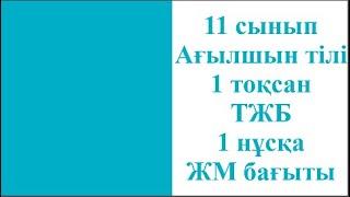 11 сынып Ағылшын тілі 1 тоқсан ТЖБ 1 нұсқа ЖМ бағыты