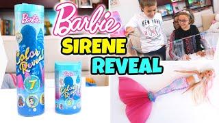 BARBIE SIRENA ‍️ COLOR REVEAL con Cambio Colore a Sorpresa