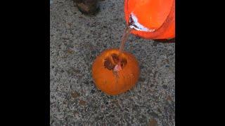 Pumpkin vs Molten Metal #shorts