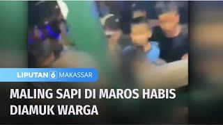 Maling Sapi di Maron Menjadi Sasaran Empuk Warga | Liputan 6 Makassar