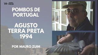 POMBOS DE PORTUGAL: AUGUSTO TERRA PRETA, um dos maiores Columbófilos do mundo!