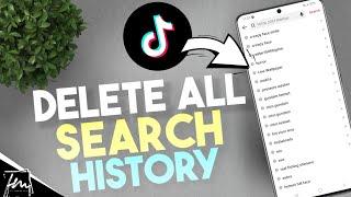 How to Delete all your TikTok Search History