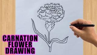 How to Draw a Carnation Flower: Carnation Flower Drawing Easy Step by Step