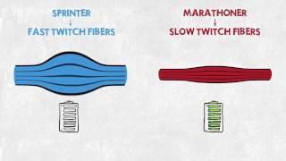 Sprinter vs. Marathoner