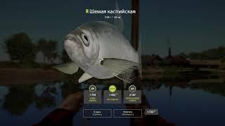 Русская рыбалка 4 / Russian fishing 4 Река Ахтуба - Пузанок и остальная селедка .