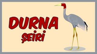 DURNA şeiri