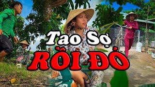 Tao Sợ Rồi Đó #videogiaitri #vochongson #nguyenhuyvlog